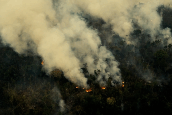Could Brazil’s New Bill Speed Up Amazon Deforestation? π³π« Deforestation in Brazil could accelerate with new bill video poster