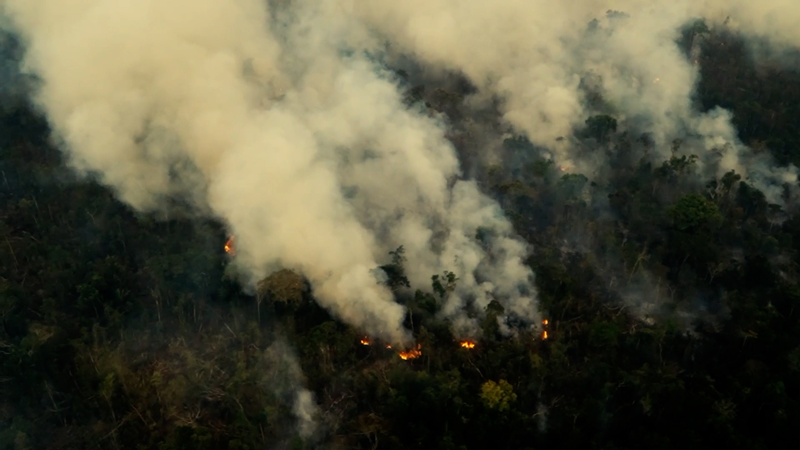 Deforestation_in_Brazil_could_accelerate_with_new_bill_poster - My Global News: Young Voices Deforestation in Brazil could accelerate with new bill video poster