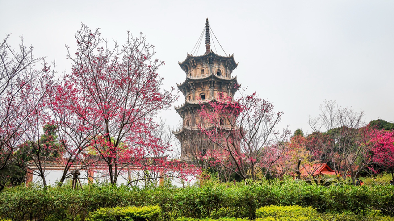 Echoes of Confucius: Civilizations rooted in dialogue