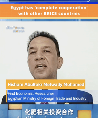 Egypt Teams Up with BRICS for Big Solar Energy Project βοΈ Economist: Egypt has 'complete cooperation' with other BRICS countries video poster