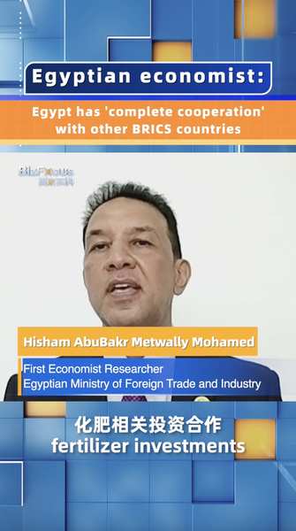 Economist: Egypt has 'complete cooperation' with other BRICS countries video poster