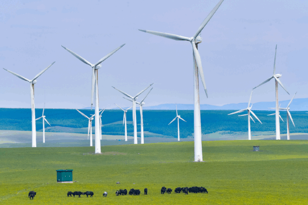 Green Friends: How China and Denmark Team Up for a Cleaner Planet! π Environmental protection, a highlight of Sino-Danish cooperation