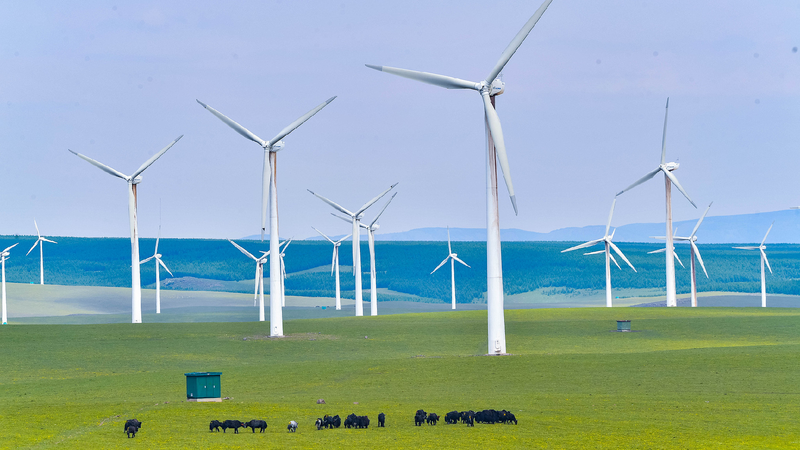 Environmental protection, a highlight of Sino-Danish cooperation