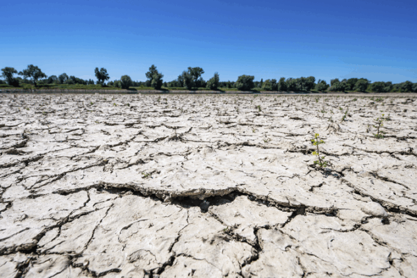 Why the World is Getting Thirsty: A New Era of Drought ππ§ Expert: New drought era signals global systemic risk