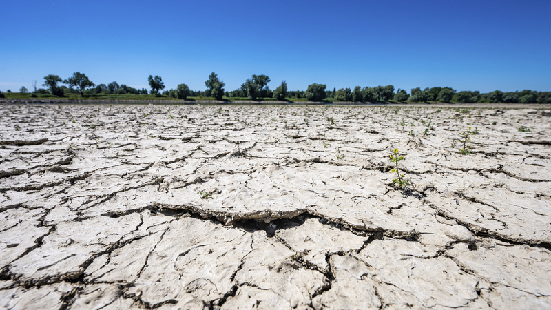 Expert: New drought era signals global systemic risk