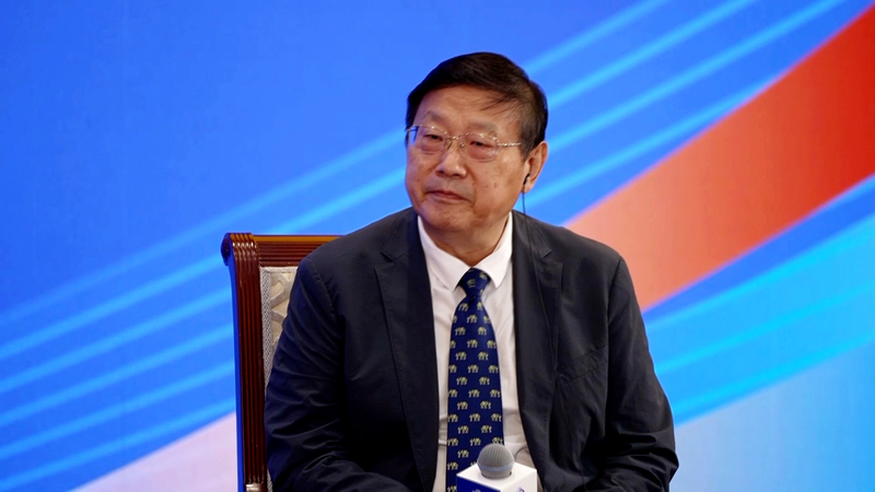 Expert Wang Wei Shares Why Civilizations Should Learn from Each Other! Expert explains importance of mutual learning among civilizations video poster