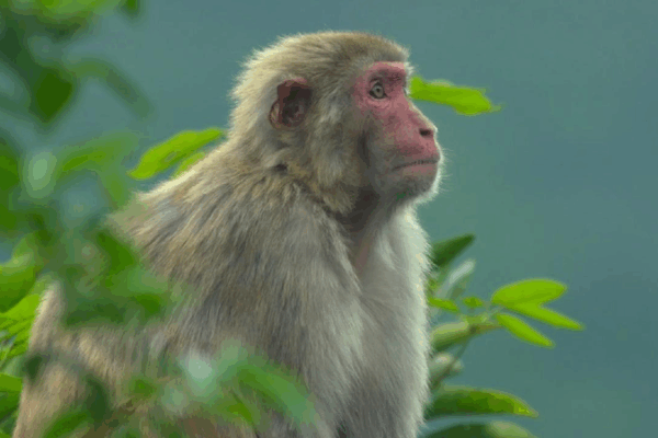 Exploring Hong Kong’s Hidden Wild Side ππ³ Exploring Hong Kong's vibrant nature