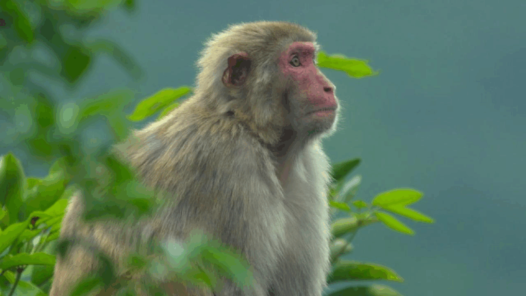 Exploring Hong Kong's vibrant nature