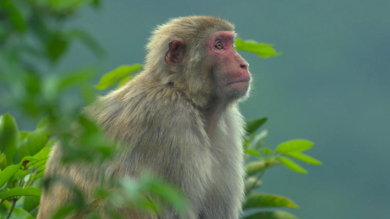 Exploring Hong Kong's vibrant nature