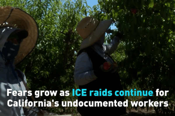 Why Some Families in California Are Feeling Scared ๐ Fears grow as ICE raids continue for California's undocumented workers video poster