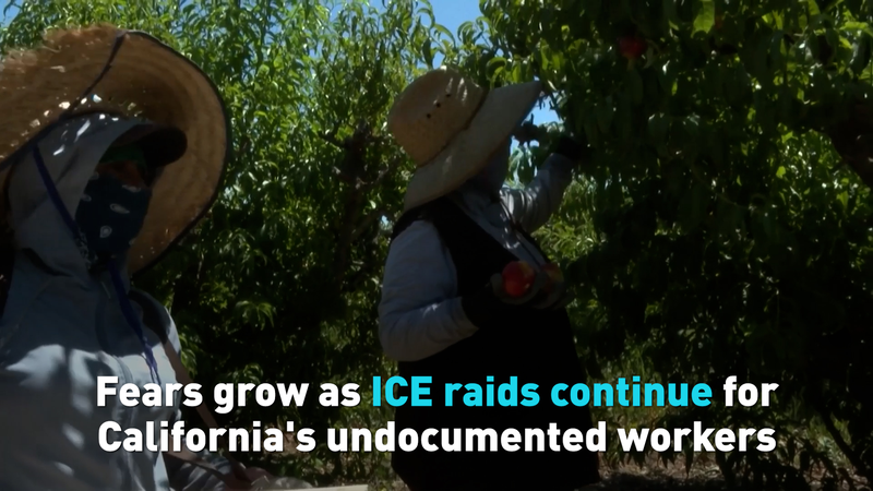 Fears grow as ICE raids continue for California's undocumented workers video poster