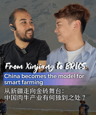 Meet the High-Tech Cows of Xinjiang: How Smart Farms are Changing the World! ๐ฎ๐ป From Xinjiang to BRICS: China becomes model for smart farming video poster
