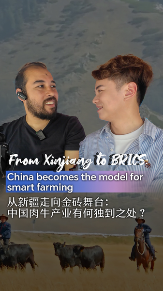 From Xinjiang to BRICS: China becomes model for smart farming video poster