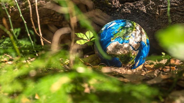 China and the EU Join Forces to Fight Climate Change π Full text: Joint statement on climate change by Chinese and EU leaders