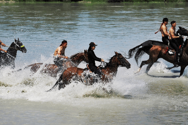 Galloping into Fun at Xinjiang’s Heavenly Horses Festival! 🐴 'Heavenly horses' festival heats up Xinjiang