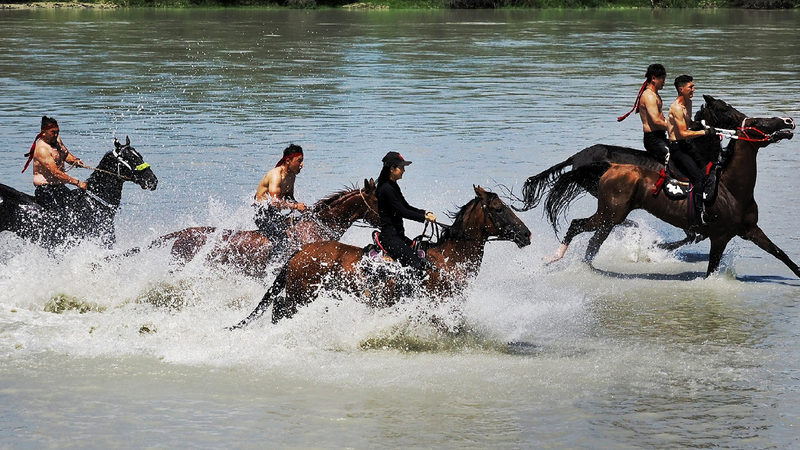 'Heavenly horses' festival heats up Xinjiang