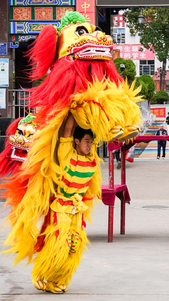 Lion dance: A martial art-driven cultural heritage video poster