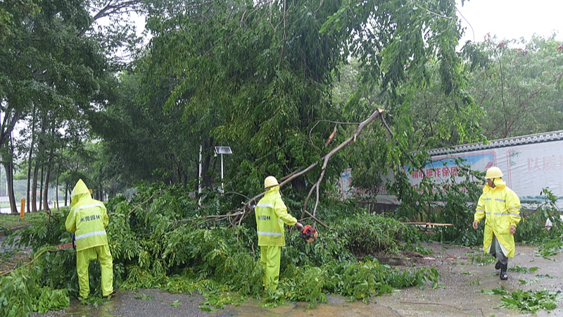 Brace Yourself: Typhoon Wipha Heads Toward China’s Southern Coast! Live: China's southern provinces prepare as Typhoon Wipha edges closer video poster