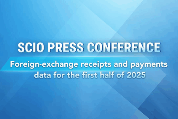 2025’s Global Money Talk: Unpacking Foreign Exchange! ๐ฐ๐ Live: Foreign-exchange receipts and payments data of 1st half of 2025