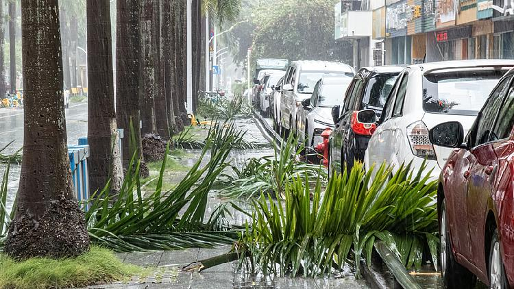 Typhoon Wipha Hits South China: Heavy Rains and Evacuations 🚨 Live: Latest as Typhoon Wipha hits S China