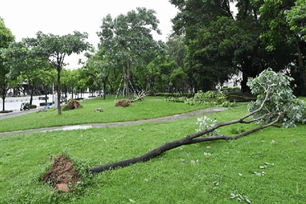 Typhoon Wipha: Guangdong’s Storm Calms as Vietnam Prepares 🌧️ Live: Latest on Typhoon Wipha as Vietnam takes precautionary measures