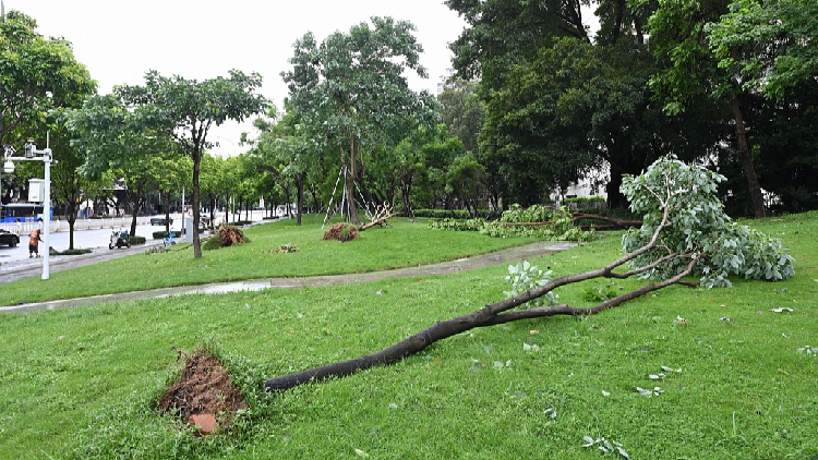 Live: Latest on Typhoon Wipha as Vietnam takes precautionary measures