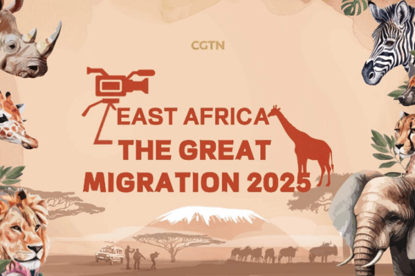 Join the Wild Adventure: Following Africa’s Great Migration! π¦π Live: Tracking the Great Migration