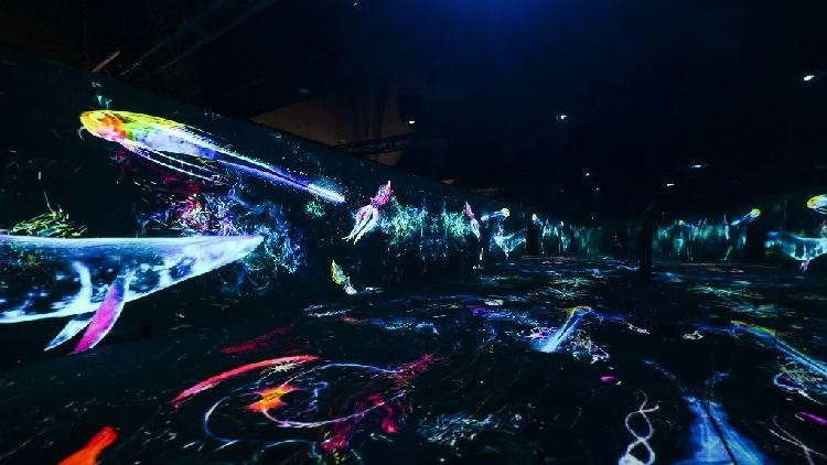 'Meet the Ocean' exhibition: A panoramic ode to marine conservation