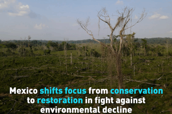 Mexico shifts to restoration in fight against environmental decline video poster
