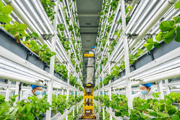 How Cool Tech is Helping Feed the World πΎπ Modernization of agricultural technology drives global development