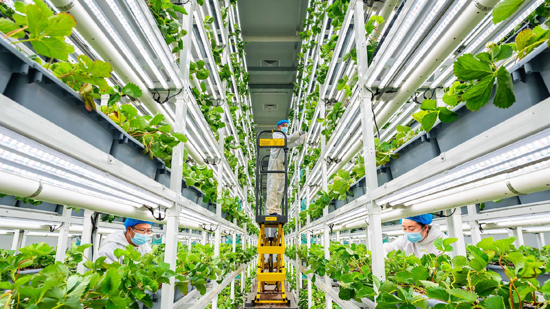 Modernization_of_agricultural_technology_drives_global_development - My Global News: Young Voices Modernization of agricultural technology drives global development