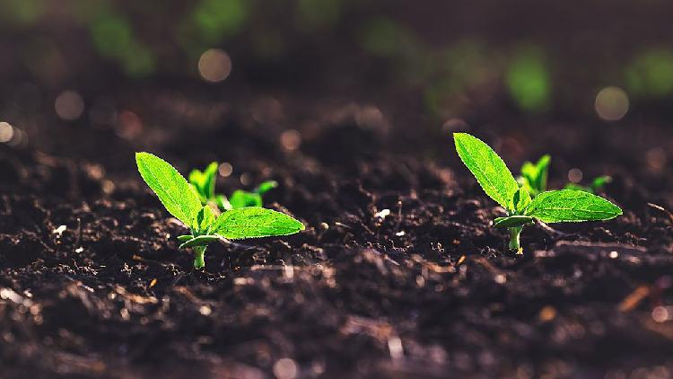 Scientists Discover Cool New Way to Measure Soil Moisture! 🌱🔬 New method enables high-precision soil moisture estimation
