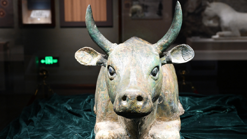 Ningxia Museum Becomes Summer Hotspot for Young Explorers! πποΈ Ningxia Museum sees surge of visitors during summer holiday