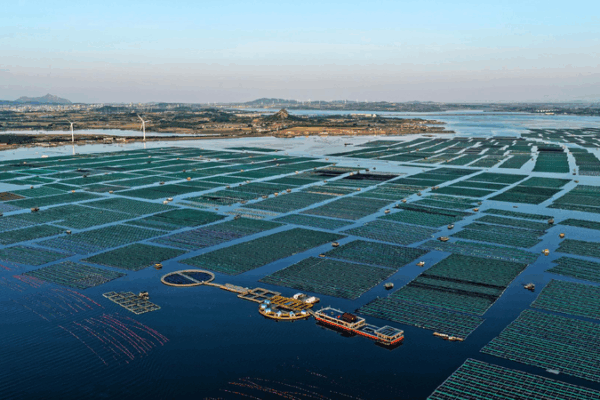 Norway and China Team Up to Help Our Planet ππ± Norway: Green cooperation with China key for climate, economy