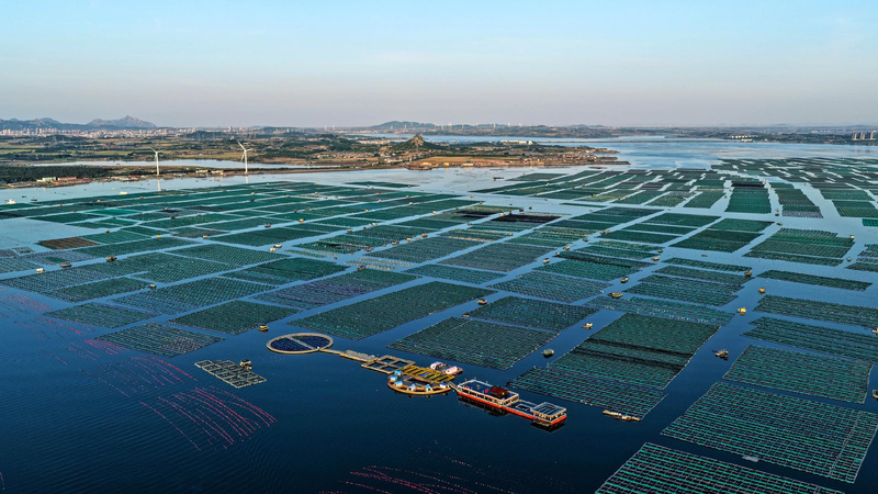 Norway_Green_cooperation_with_China_key_for_climate_economy - My Global News: Young Voices Norway: Green cooperation with China key for climate, economy