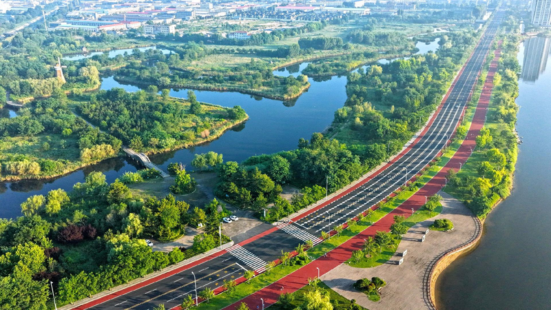 China Leads the Way in Wetland Protection, Says Top Official Official: China plays major role in global wetland preservation