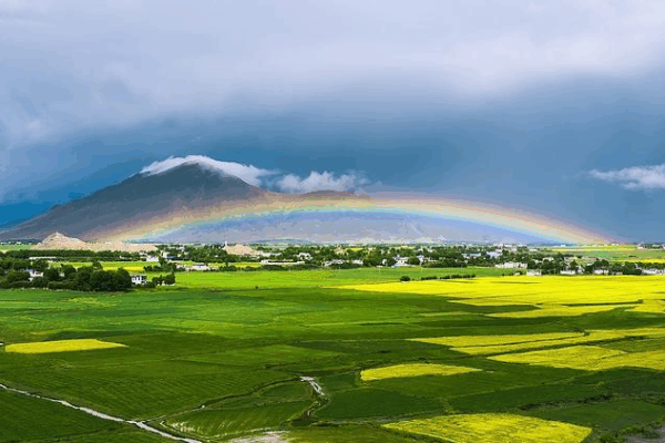 π Rare Low Rainbow Lights Up Xizang’s Highland Barley Fields! Rare low rainbow seen over Xizang's barley fields