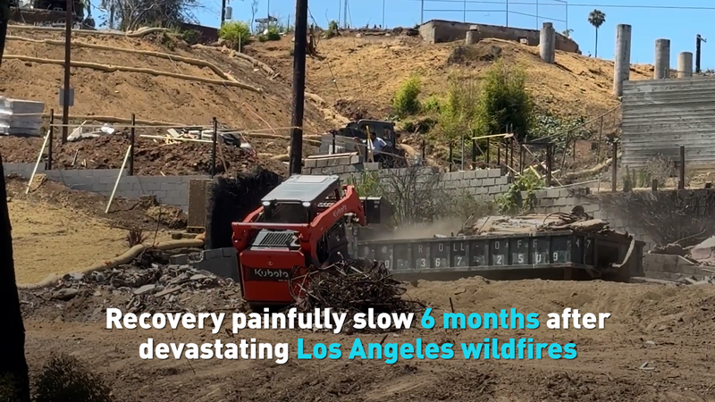 Six Months Later: Why Is LA’s Wildfire Recovery So Slow? Recovery painfully slow in Los Angeles half a year after wildfires video poster