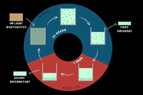 Algae Power! How Tiny Plants Are Helping Recycle Water in Drought Areas ๐ฑ๐ง Researchers use algae to recycle wastewater in drought-hit regions