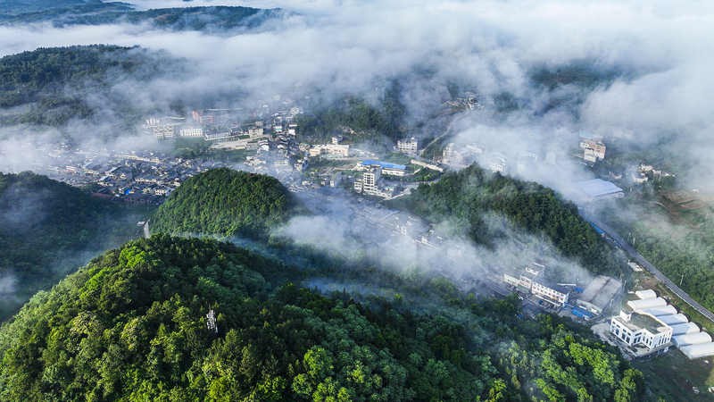 Selected_works_of_Xi_Jinping_on_ecological_civilization_published - My Global News: Young Voices Selected works of Xi Jinping on ecological civilization published