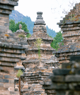 Journey into the Shaolin Pagoda Forest: Where History is Carved in Stone Shaolin Pagoda Forest: Stones of a monastic legacy video poster