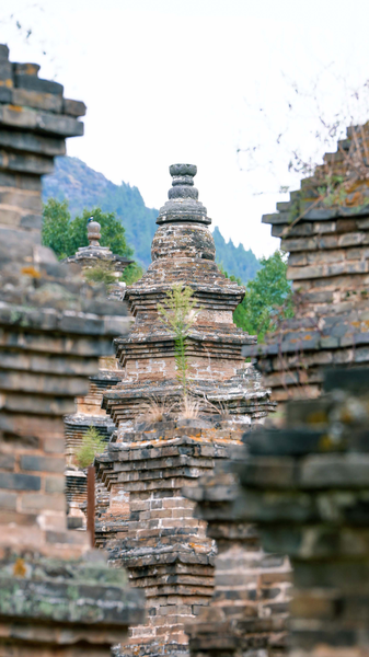 Shaolin Pagoda Forest: Stones of a monastic legacy video poster