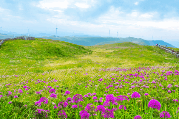 China and Switzerland Team Up for a Greener World ๐ฟ Sino-Swiss exchanges drive mutual development in ecotourism