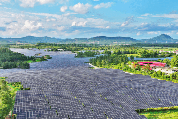 China’s Big Plan to Help the Earth Go Green ππ Spokesperson: China is an important contributor to green development