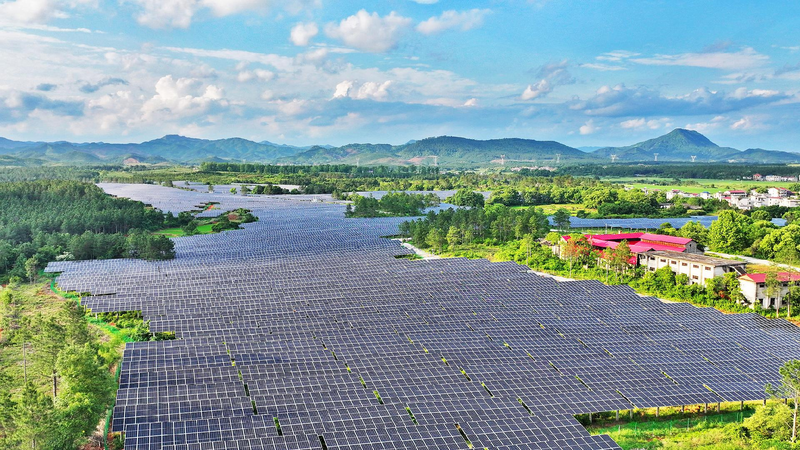 Spokesperson_China_is_an_important_contributor_to_green_development - My Global News: Young Voices Spokesperson: China is an important contributor to green development