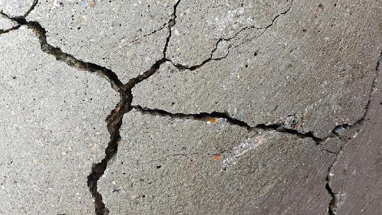 Study_finds_earthquakes_can_provide_fuel_for_subterranean_life - My Global News: Young Voices Study finds earthquakes can provide 'fuel' for subterranean life