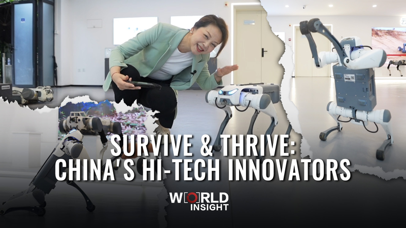 Survive & Thrive: China's Hi-Tech Innovators video poster