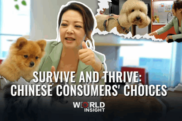 Survive and Thrive: How Chinese Shoppers Turn Challenges into Triumphs! ๐ Survive and Thrive: Chinese Consumers' Choices video poster