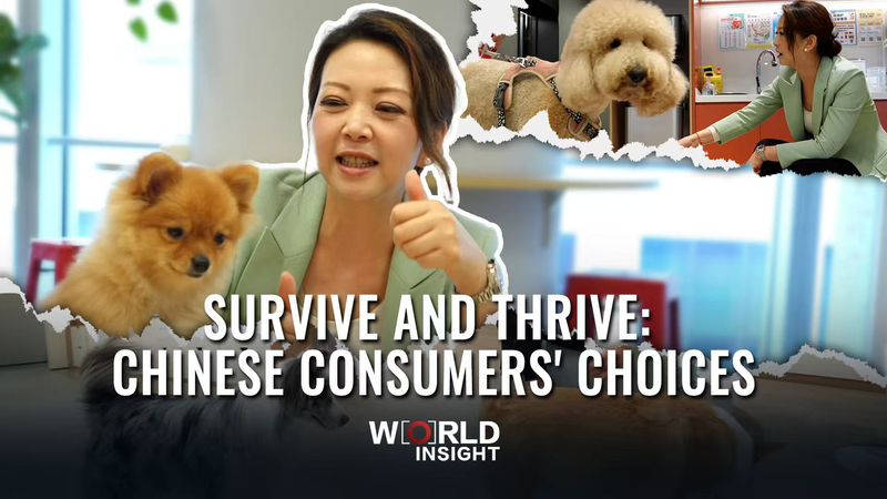 Survive_and_Thrive_Chinese_Consumers_Choices_poster - My Global News: Young Voices Survive and Thrive: Chinese Consumers' Choices video poster