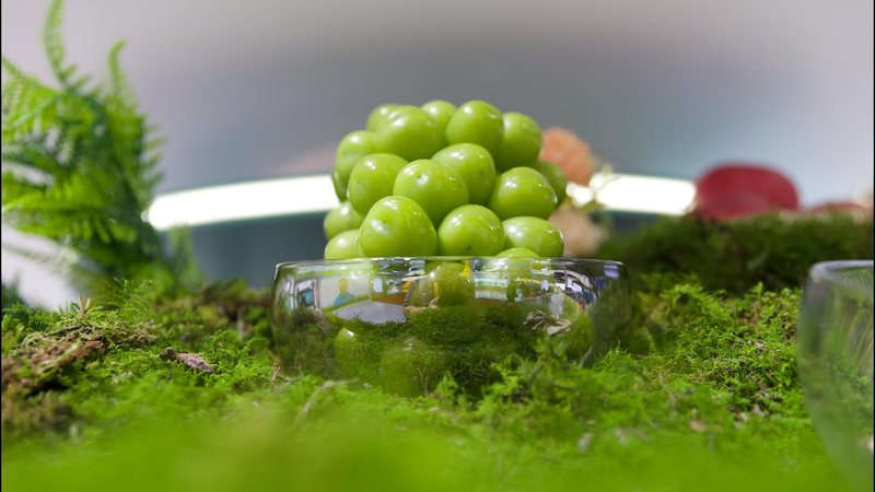 Tech_meets_soil_How_Chinas_digital_push_transforms_farming_worldwide - My Global News: Young Voices Tech meets soil: How China's digital push transforms farming worldwide